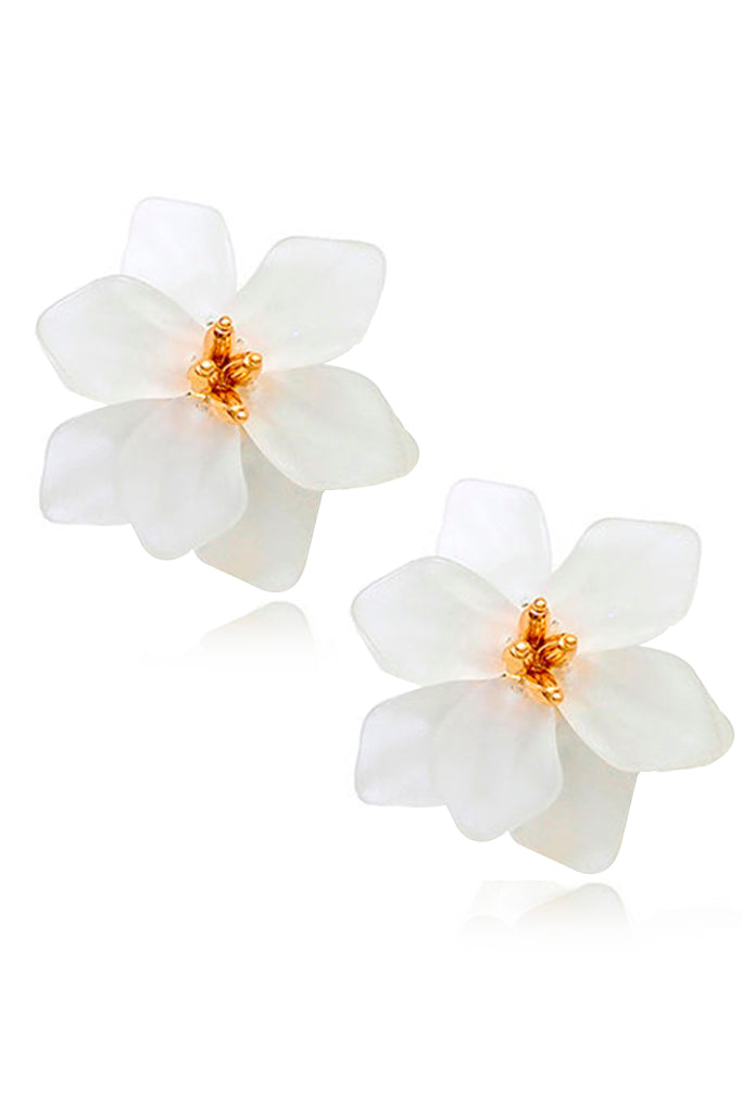 Pendientes de flores blancas florecientes